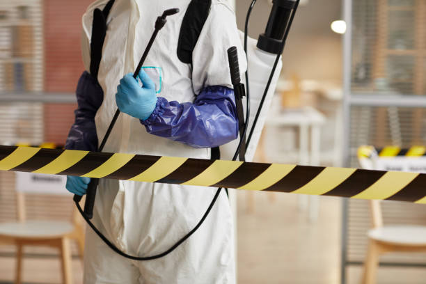 Professional Sewage Cleanup technician working in Loveland, CO